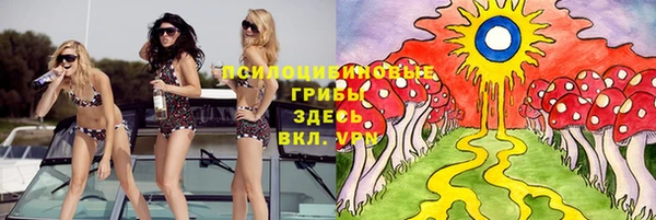 дурь Абинск