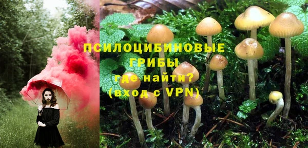 кокс Абаза